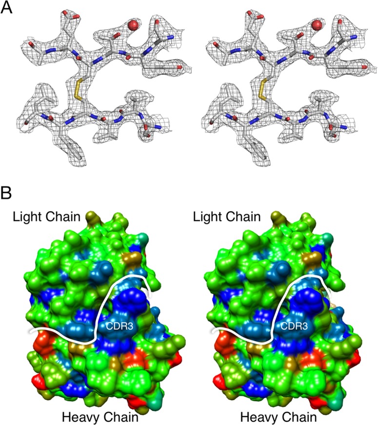 FIG 7