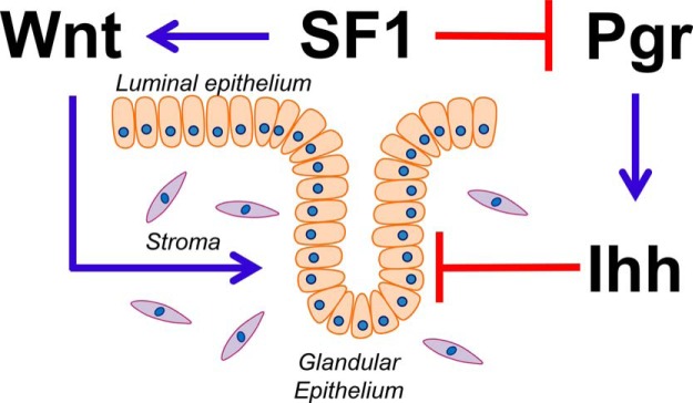 Figure 7.