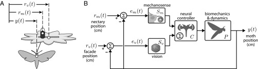 Fig. 1.