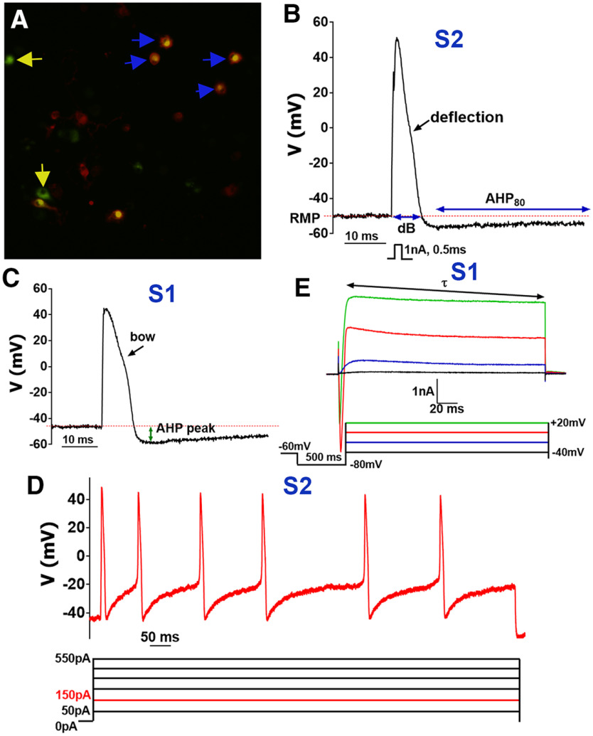 Figure 1.