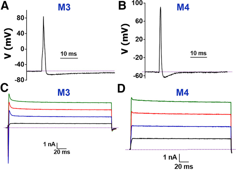 Figure 4.