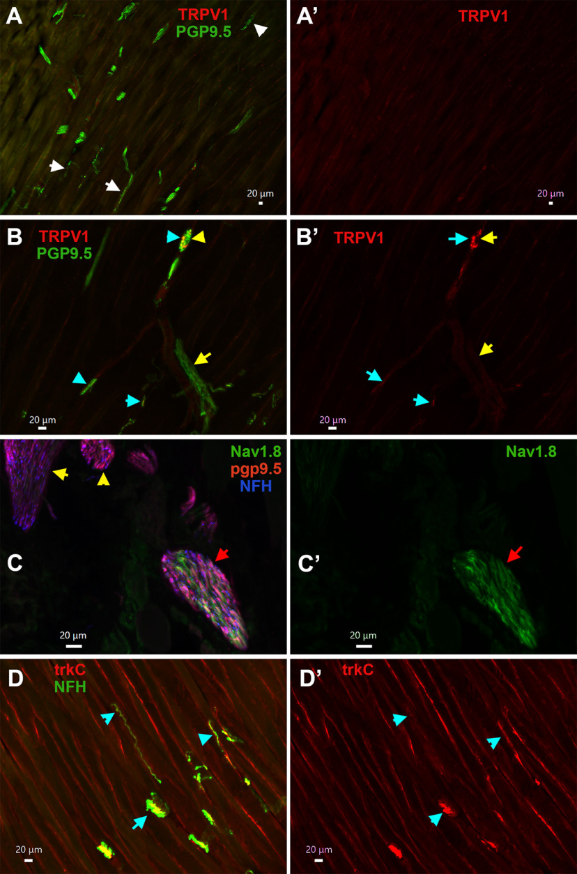 Figure 12.