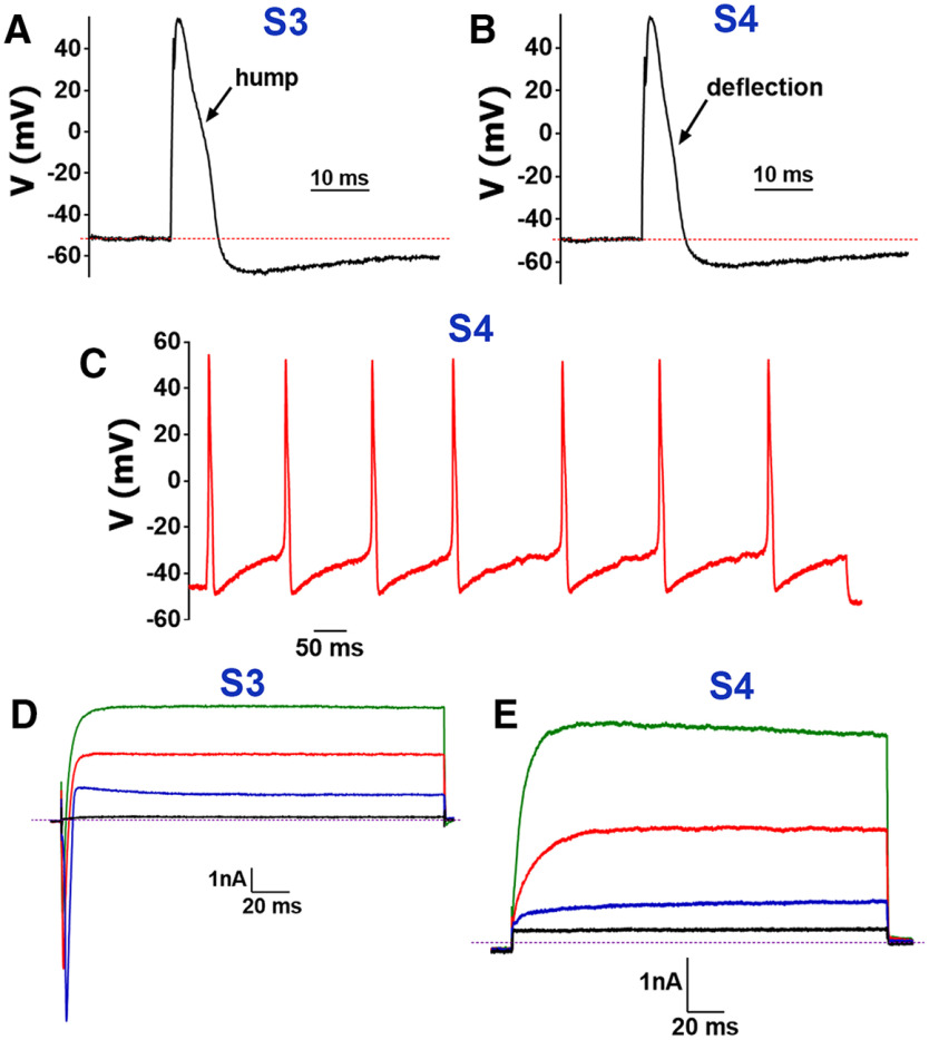 Figure 2.