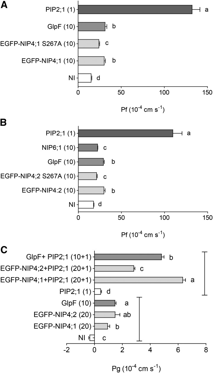 Figure 12.