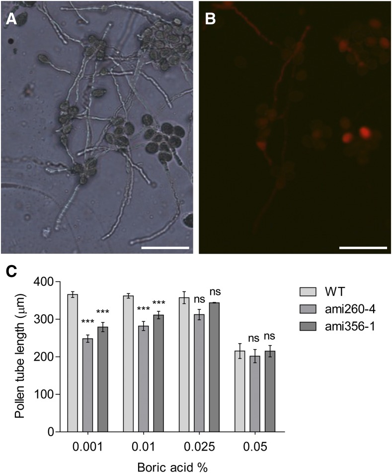 Figure 10.