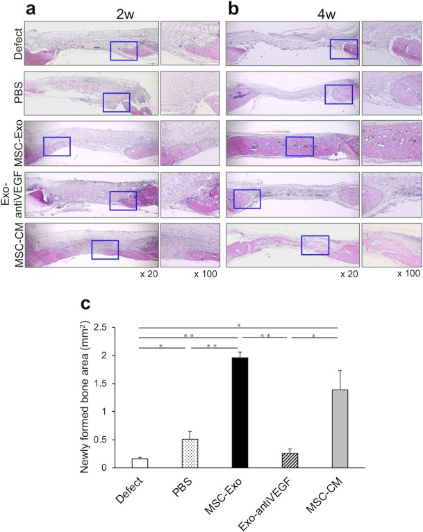 Fig 5