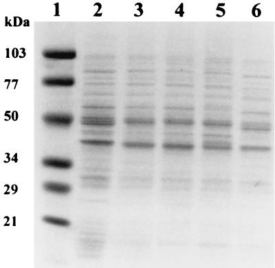 FIG. 9