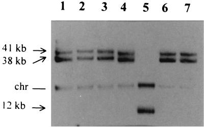 FIG. 7