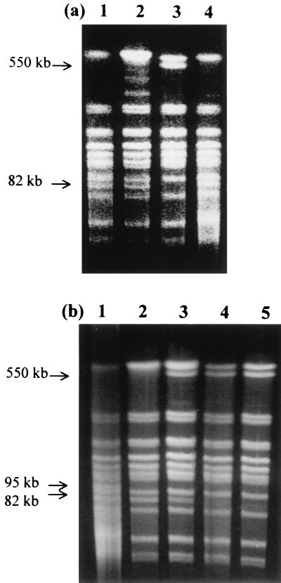 FIG. 8