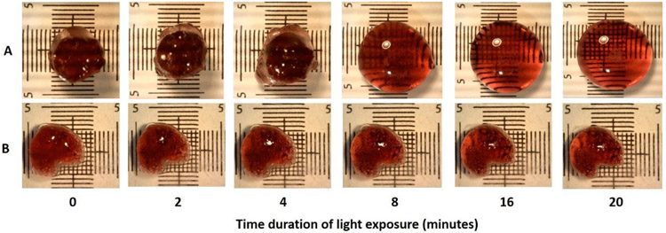 Fig. 3.