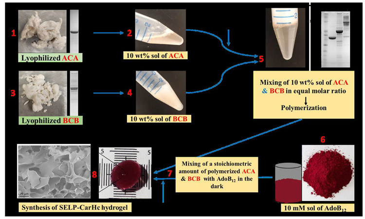 Fig. 2.