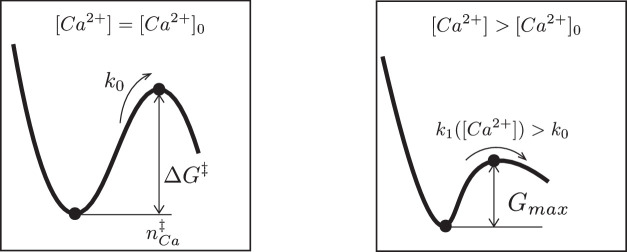 Appendix 1—figure 1.