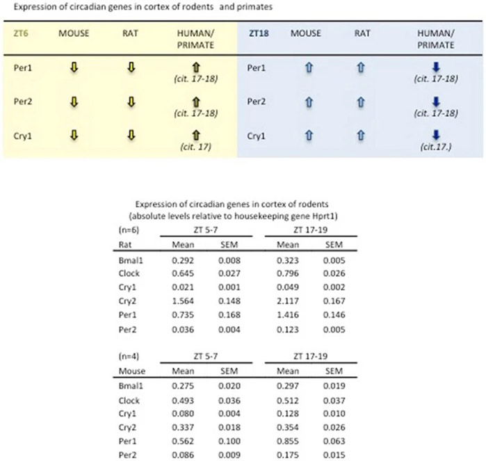 Extended Data 7: