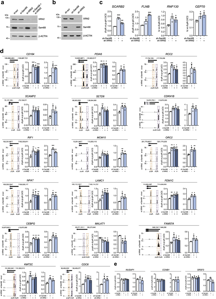 Extended Data Fig. 6: