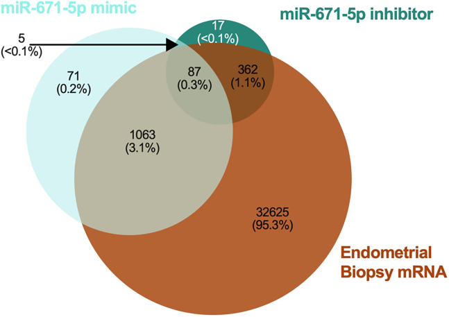 Figure 17