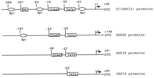 FIG. 9