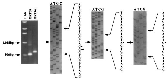 FIG. 7