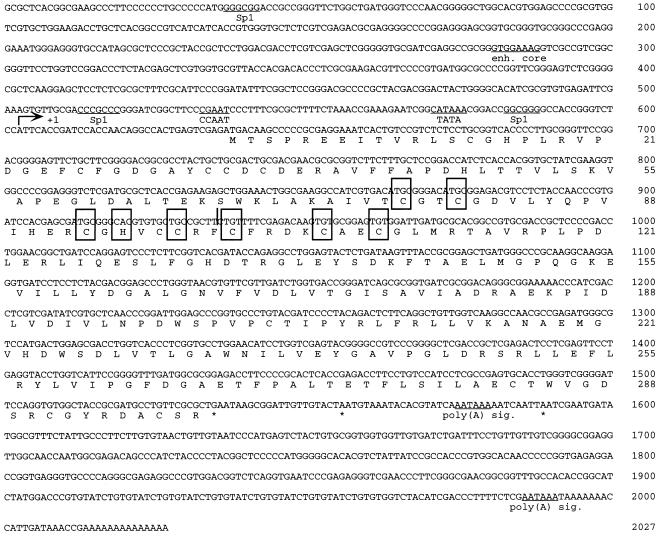 FIG. 6