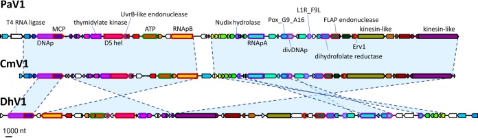 FIG 1