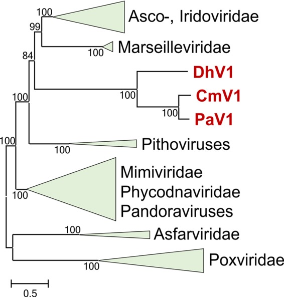 FIG 3