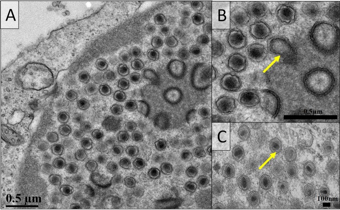 FIG 5