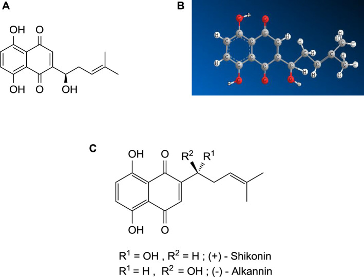 FIGURE 1