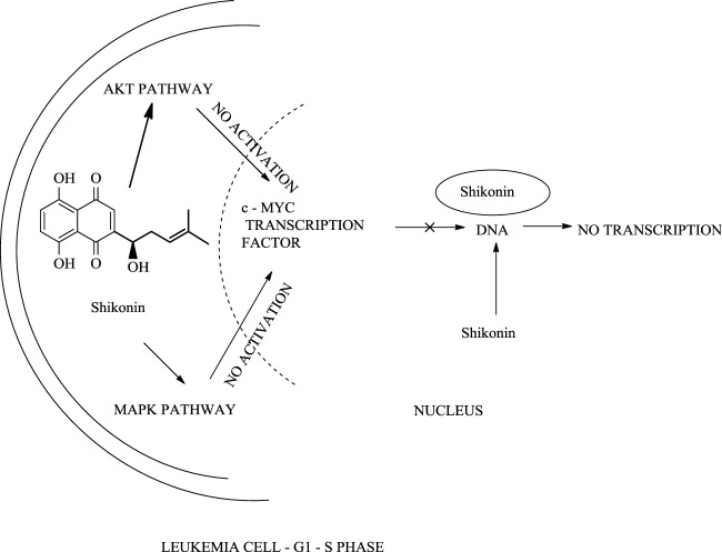 SCHEME 23