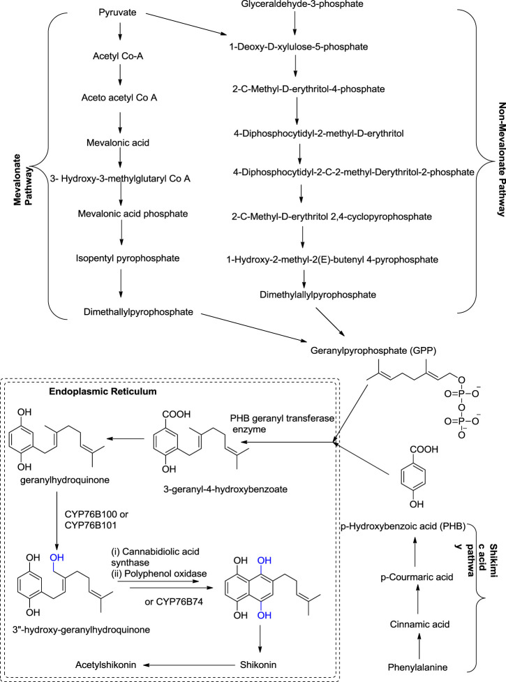 SCHEME 2