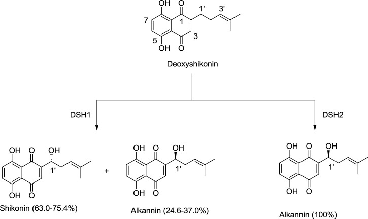 SCHEME 5