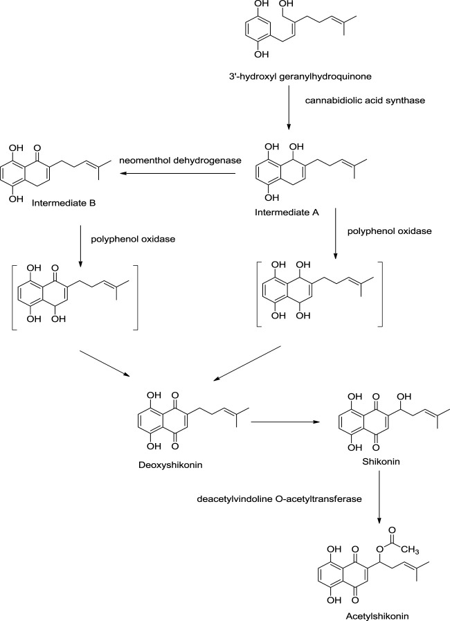 SCHEME 4