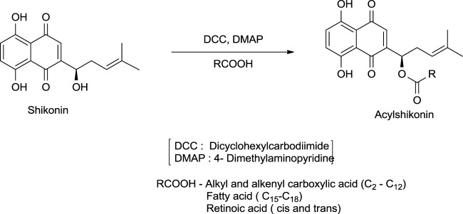 SCHEME 18