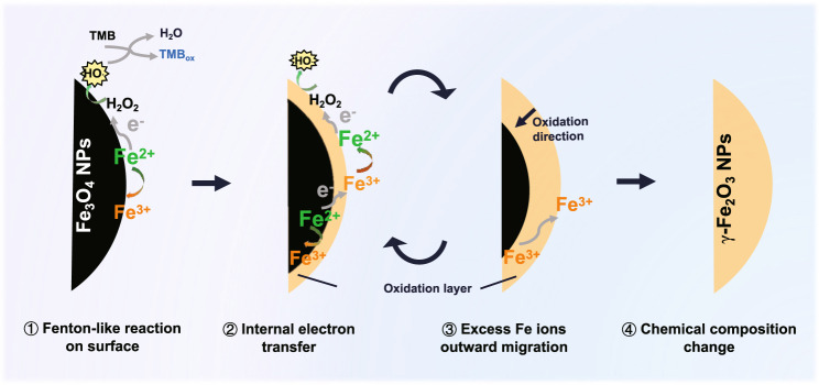 Fig. 3