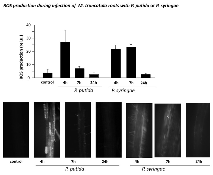 Figure 1. 