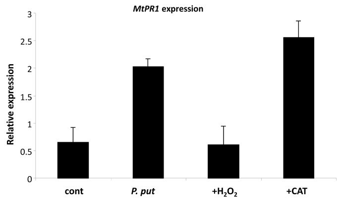 Figure 6. 