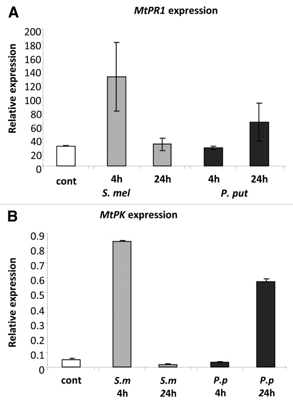 Figure 5. 