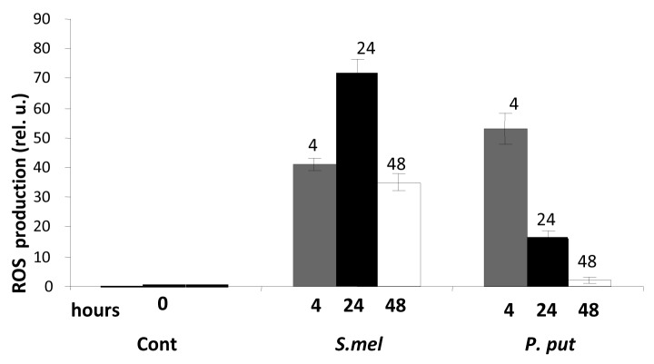 Figure 2. 