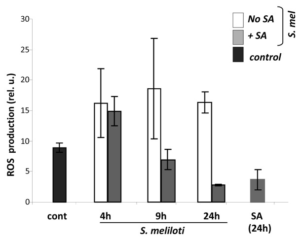 Figure 4. 