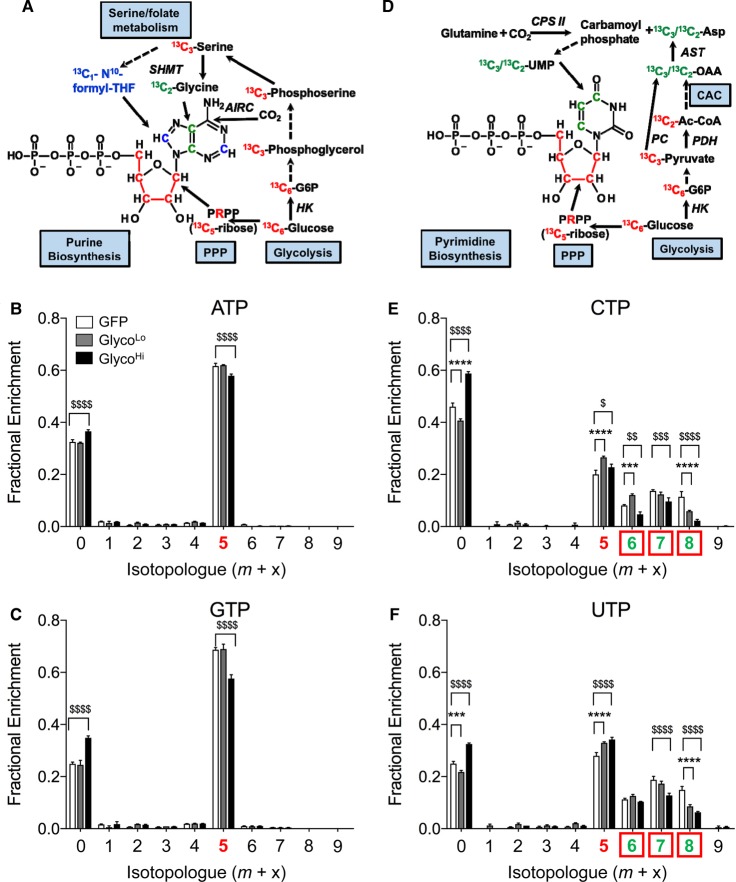 Figure 3.