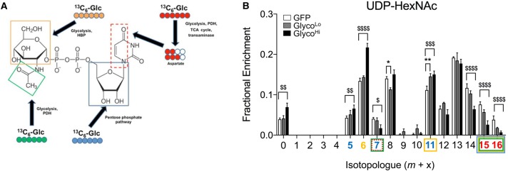 Figure 4.