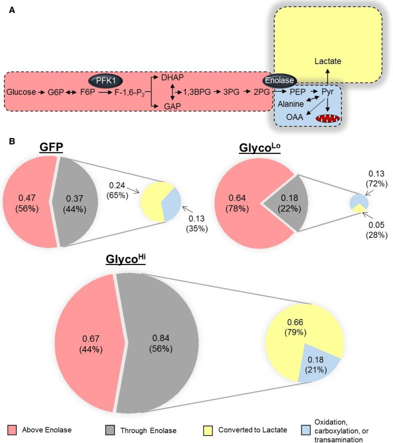 Figure 2.