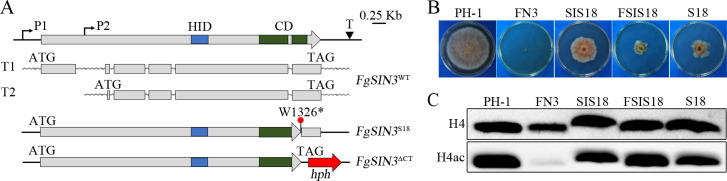 Fig 9