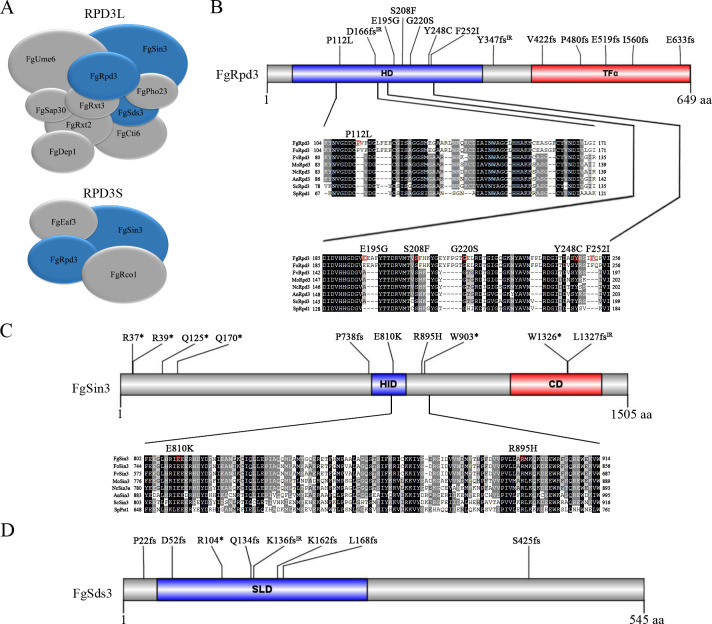 Fig 6