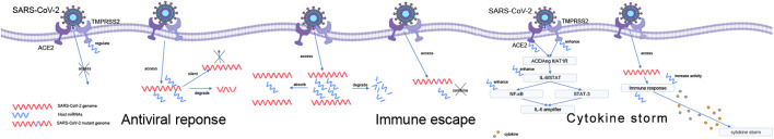 FIGURE 2