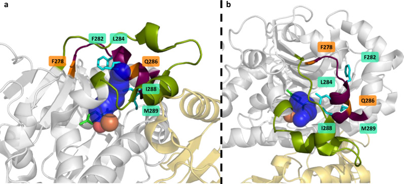 Fig. 7