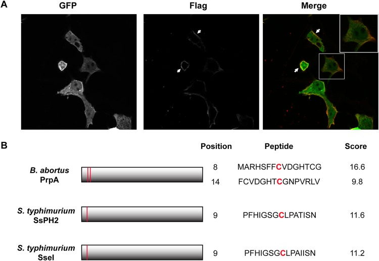 FIG 1