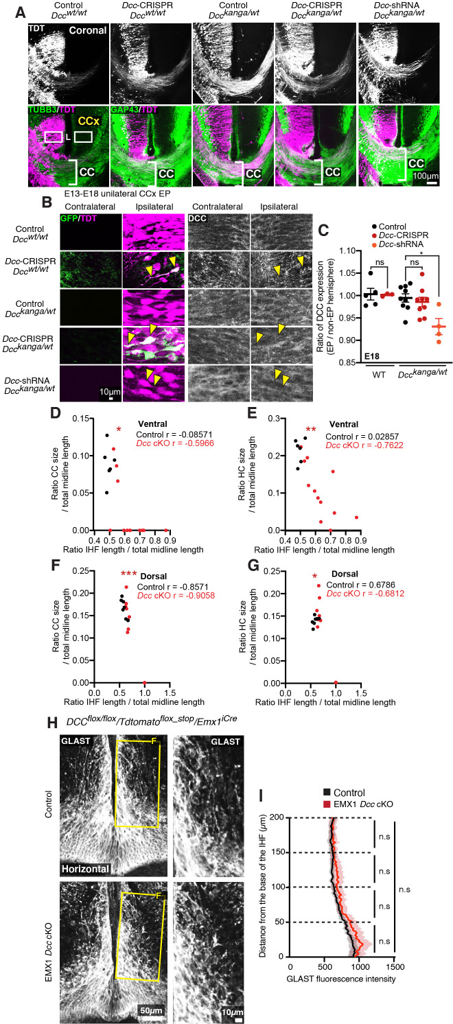 Figure 6—figure supplement 1.