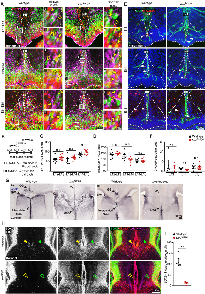 Figure 4—figure supplement 1.