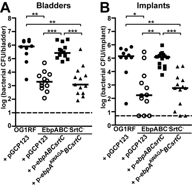 FIG 6 