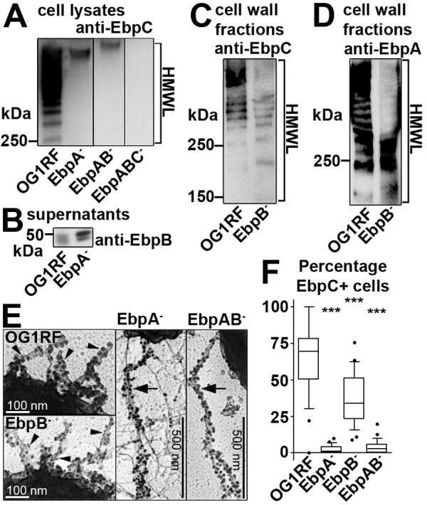 FIG 3 