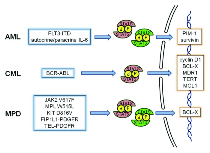 graphic file with name jkst-1-55-g2.jpg